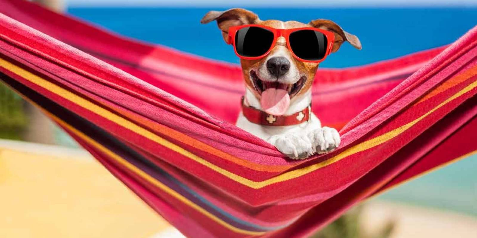 Louez...en toute sérénité